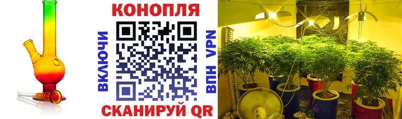 блэк спрут ССЫЛКА  Саранск  Канабис VHQ  где купить  